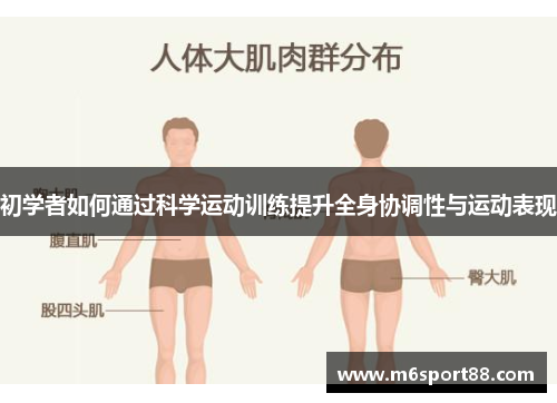 初学者如何通过科学运动训练提升全身协调性与运动表现