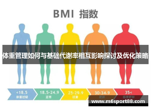 体重管理如何与基础代谢率相互影响探讨及优化策略