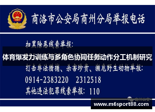 体育爆发力训练与多角色协同任务动作分工机制研究